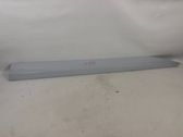 Front door trim (molding)