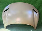 Engine bonnet/hood