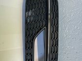 Front fog light trim/grill