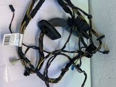 Rear door wiring loom