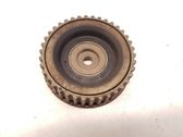 Timing belt tensioner pulley