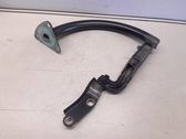 Tailgate/trunk/boot hinge