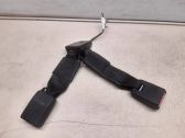 Rear seatbelt buckle