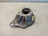 Coil spring/strut mount