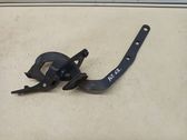 Tailgate/trunk/boot hinge