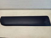 Rear door trim (molding)