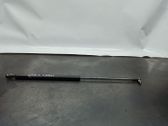 Tailgate/trunk strut/damper