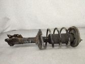 Amortiguador delantero