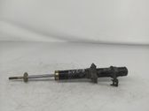 Stoßdämpfer hinten