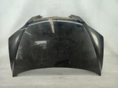 Motorhaube