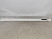Front door trim (molding)
