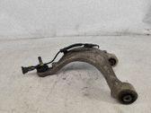 Querlenker hinten