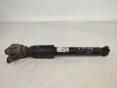 Rear shock absorber/damper