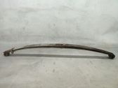 Front coil spring