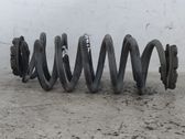 Rear coil spring