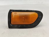 Front bumper turn signal
