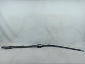 Airbag del techo