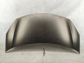 Motorhaube