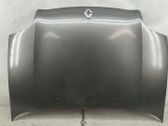 Engine bonnet/hood