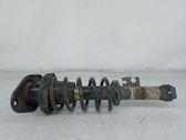 Rear shock absorber/damper