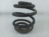 Muelle espiral trasero