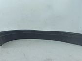 Rear door trim (molding)