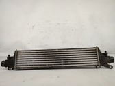 Intercooler radiator