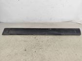 Front door trim (molding)