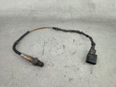 Sonde lambda
