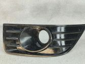 Atrapa chłodnicy / Grill