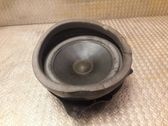 Rear door speaker