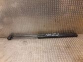 Tailgate/trunk strut/damper
