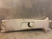 (B) pillar trim (bottom)
