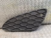 Front grill