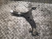 Front lower control arm/wishbone