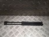 Tailgate/trunk strut/damper