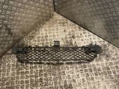 Kühlergrill