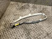 Airbag de toit