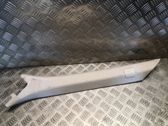 (A) pillar trim