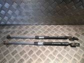 Tailgate/trunk strut/damper