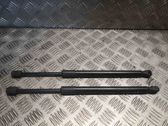 Amortizatorius variklio dangčio