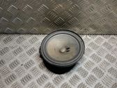 Rear door speaker