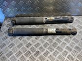 Rear shock absorber/damper