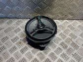 Rear door speaker