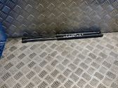 Tailgate/trunk strut/damper