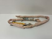 Roof airbag