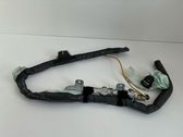 Airbag de toit