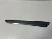 Rear door card panel trim