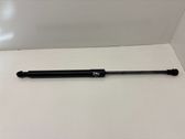 Front bonnet/hood damper/strut
