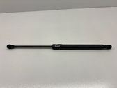 Front bonnet/hood damper/strut